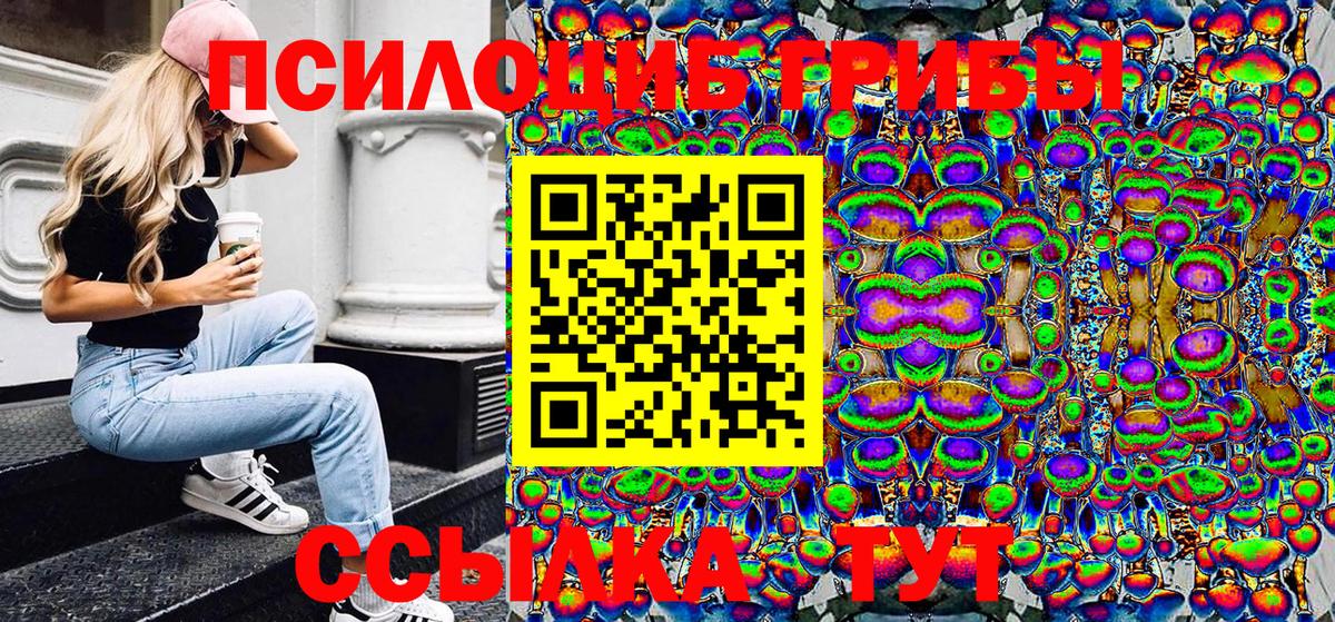 Псилоцибиновые грибы Psilocybine cubensis Реутов